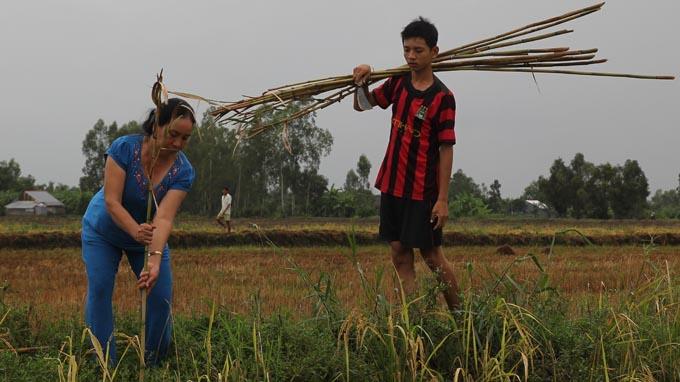 Le Thanh Thuy, 42, and her son harvesting rice plants.