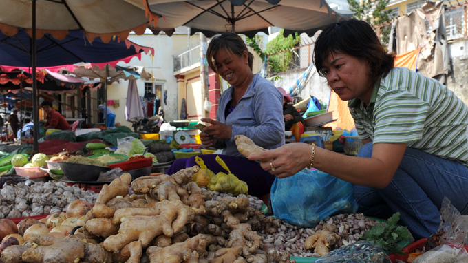 Food scandals reduce Vietnam’s produce imports from China