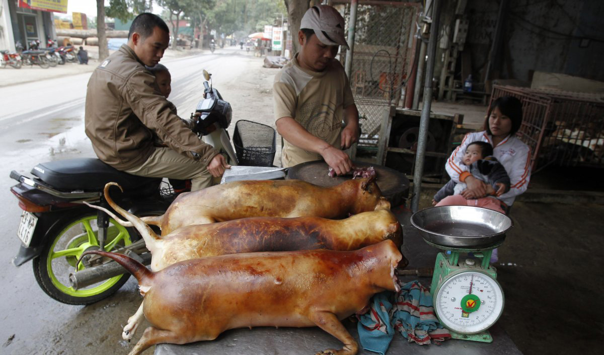 Rat, dog meat of Vietnam enter list of most extreme foods
