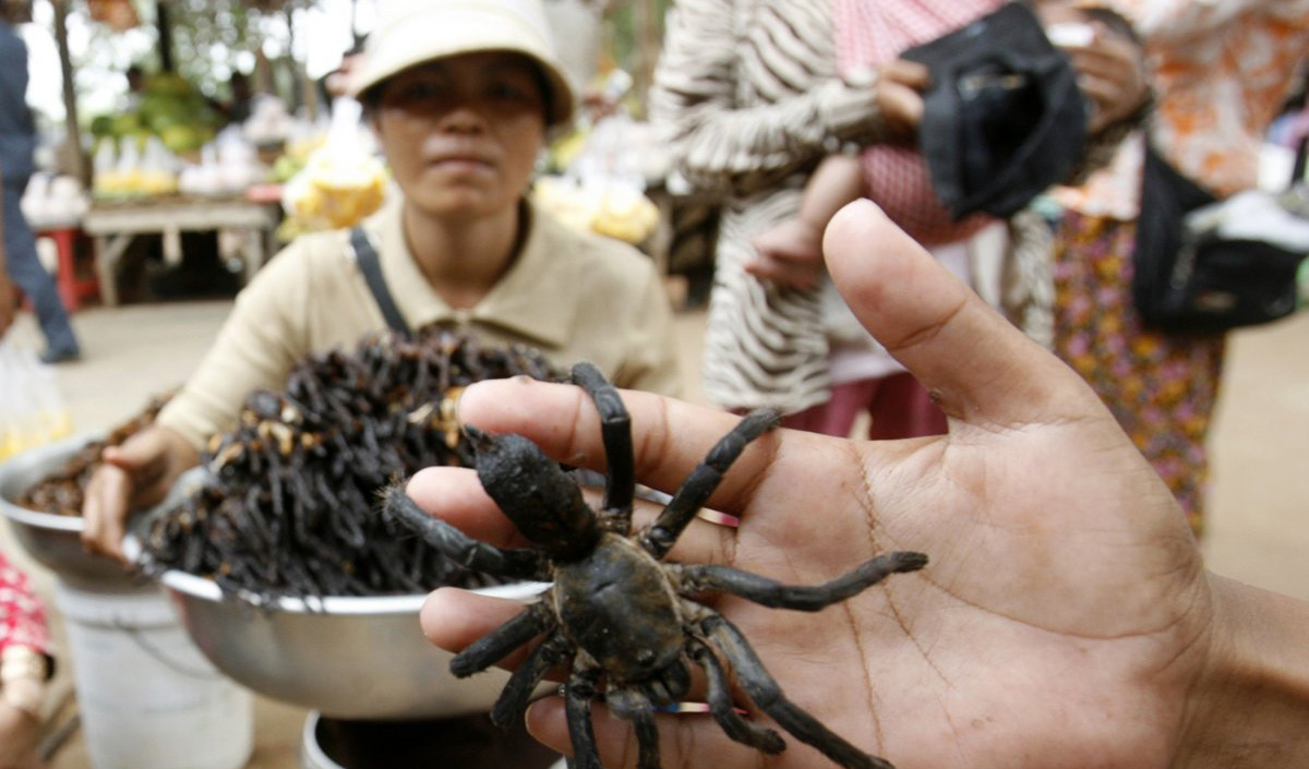 In Kampong Cham province, Cambodia, a vendor sells deep-friend spiders to customers at a bus station. $2.00 will get you 10 crunchy spiders seasoned with garlic.