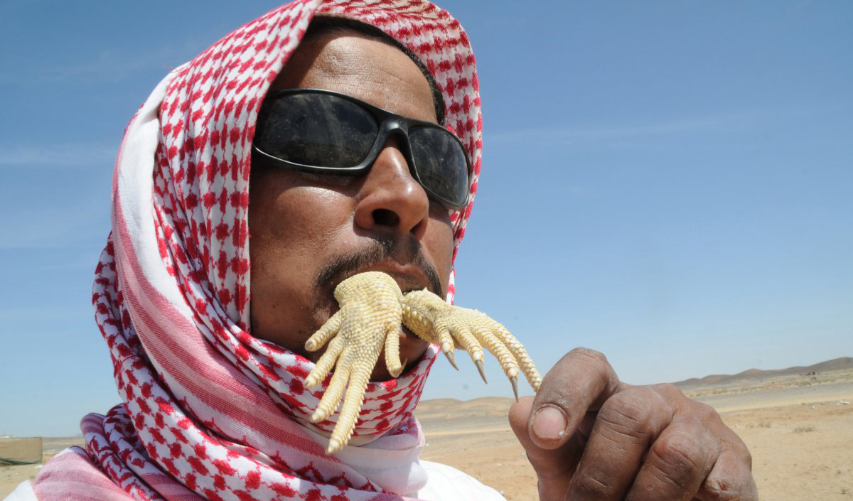 A Saudi Arabian man crunches on the hands of an Uromastyx lizard, an animal whose blood is believed to treat diseases and strengthen the body. Also known as 