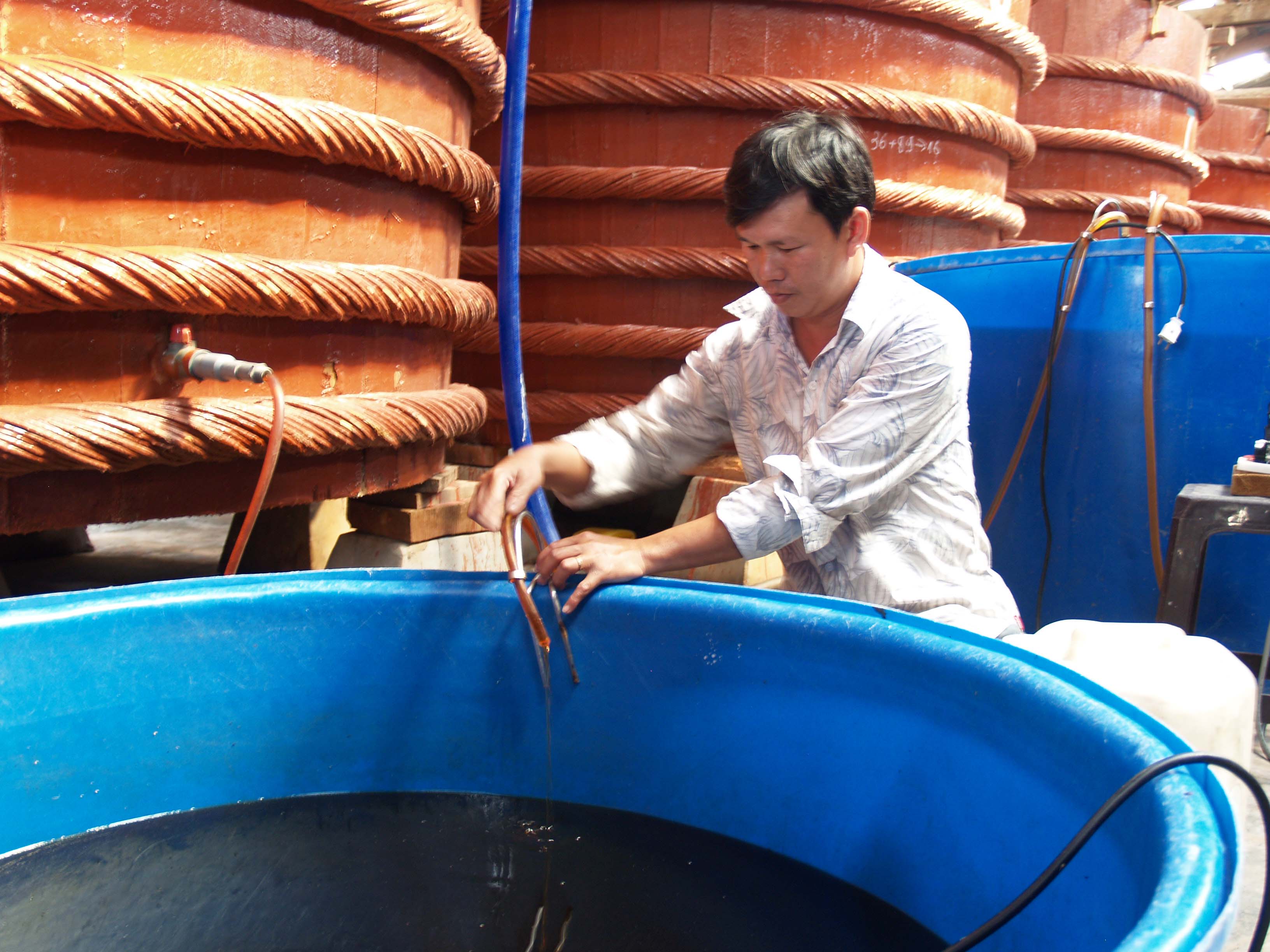 Phu Quoc fish sauce faces raw material shortage