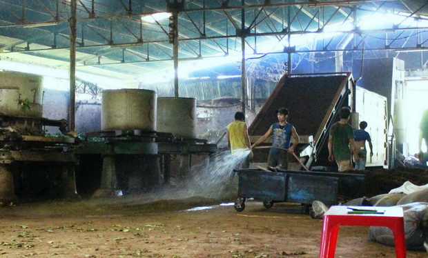 Lam Dong scam facilities make tea from ‘buffalo dung’