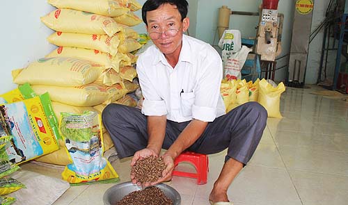 The father of Vietnam herbal rice seed