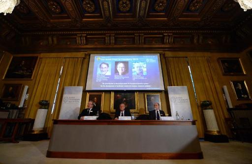 Nobel for trio who took chemistry to cyberspace