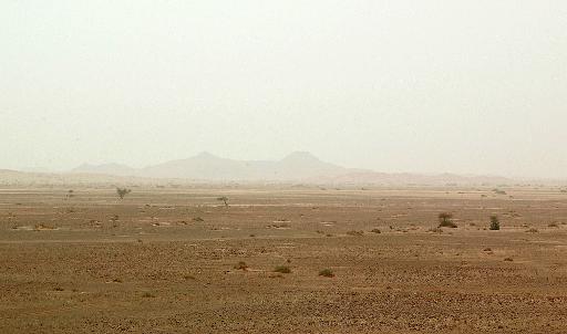 Bodies of 87 migrants found in Niger desert: security source