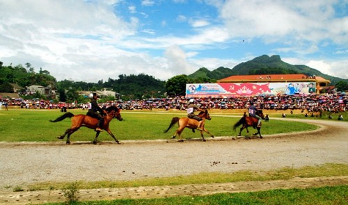 Binh Duong cancels $350 mln horse racing project
