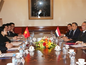 Vietnam wishes to expand cooperation with Egypt