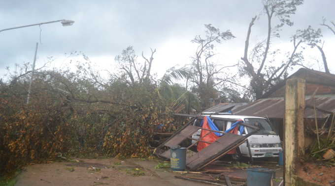 Broken trees and debris are pictured after Typhoon Haiyan hit the municipality of Coron, Palawan province in central Philippines November 9, 2013.