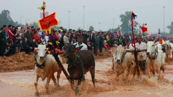 Khmer bull-racing fest held in Hanoi