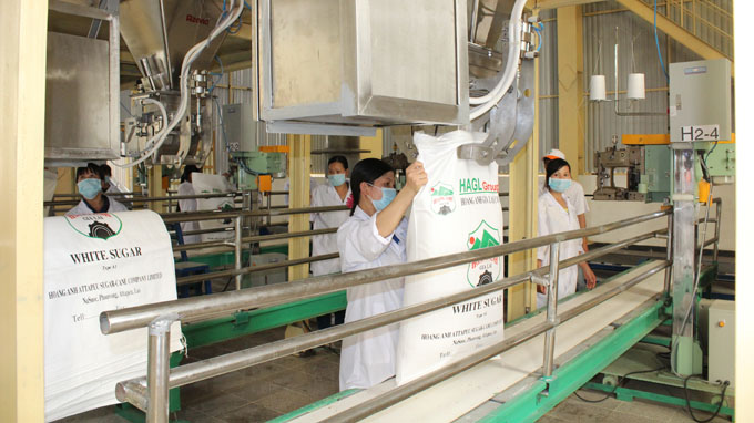 HAGL blasted over plan to treat its sugar produced in Laos