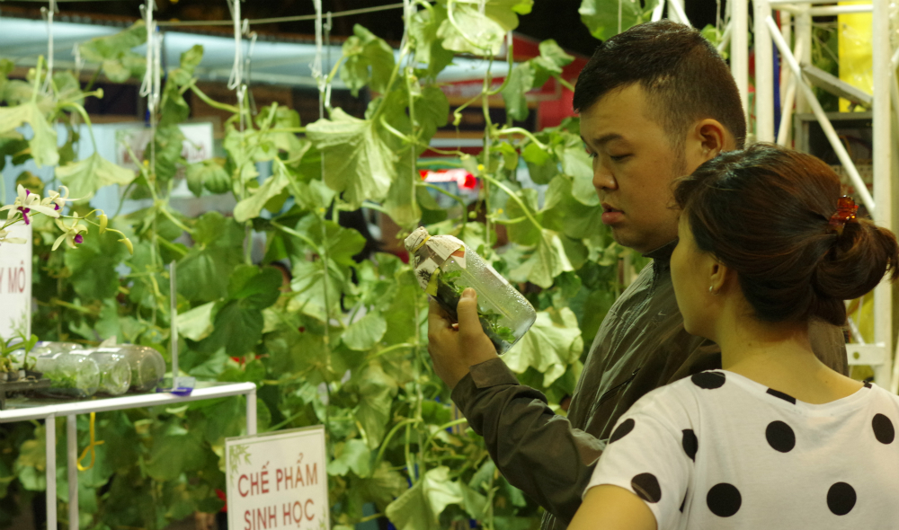 A stroll around HCMC’s biggest agricultural exhibition