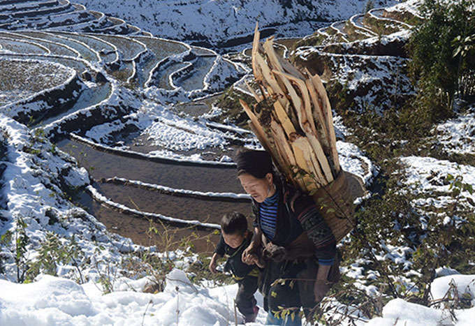 A mother and son looking for firewood pieces to keep warm. 