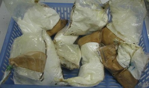 Filipino woman caught with 1.6 kg of cocaine at airport