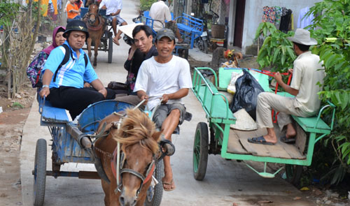 Traveling on horse-drawn carts in the Mekong Delta