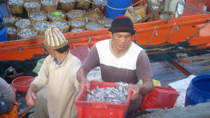Fishermen in central Vietnam reel in bumper catch