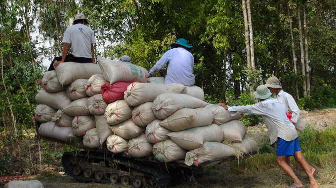 Vietnam wins Philippines tender for 800,000T of rice