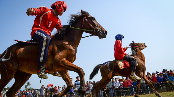 Farmers become horse racers in Phu Yen fest [photos]