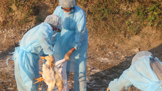 USAID offers $800,000 for fighting epidemics in VN