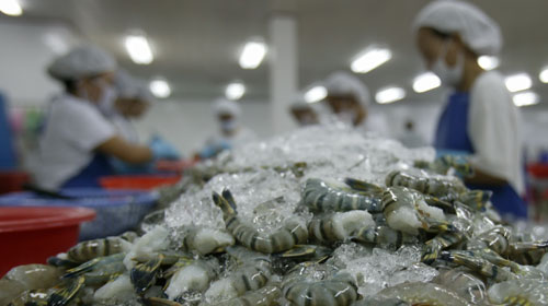 US to cut anti-dumping duties on Vietnamese shrimp