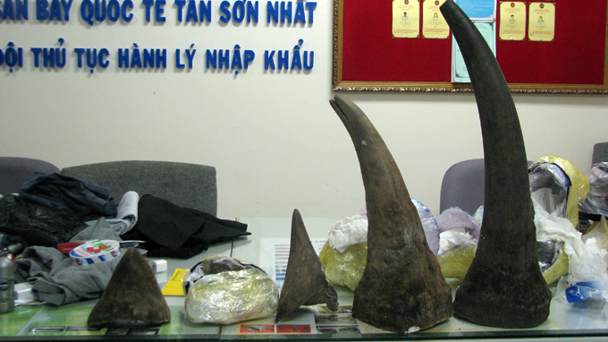 Over 13kg smuggled rhino horns seized at HCMC airport