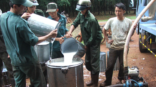 Vietnam becomes world’s third biggest rubber producer