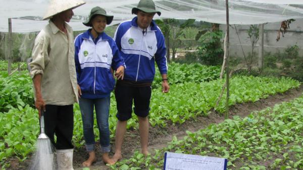 HCMC to send farmers abroad to learn skills, experience