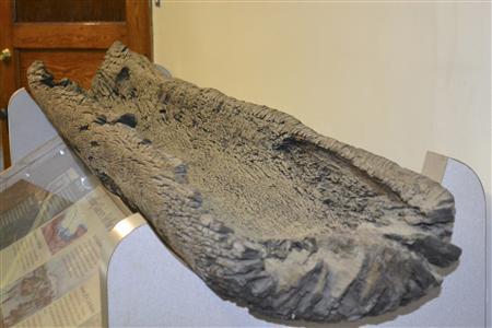 Tiny Minnesota museum's canoe a 1,000-year-old historic find