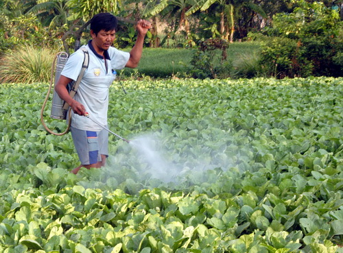 Vietnam seizes 230,000 tubes of illicit Chinese plant chemicals