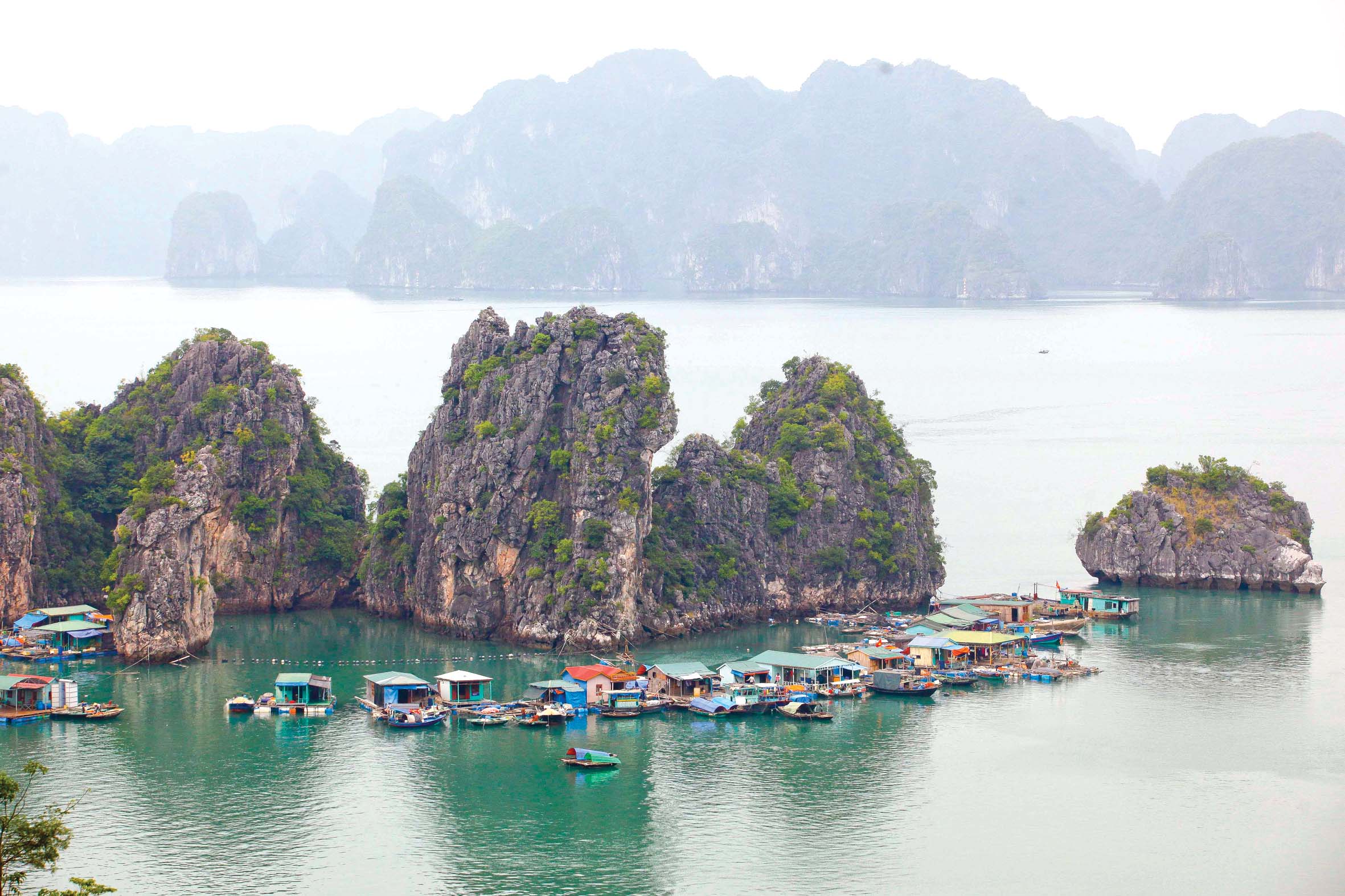 Vietnam private firm seeks permission to manage Ha Long Bay for 50 yrs