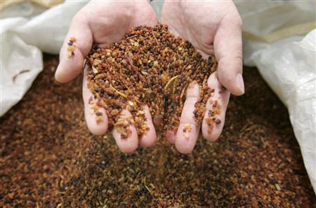 Indian animal feed suppliers to explore Vietnam market