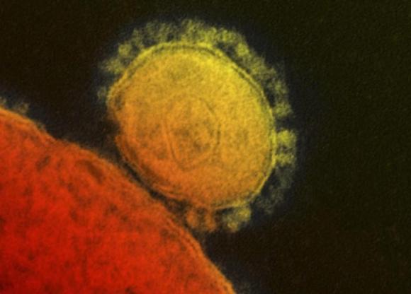 Vietnam to ask visitors from MERS-CoV area to fill health declaration