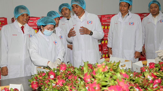 Japan to help Vietnam with high-quality agro production chain: minister