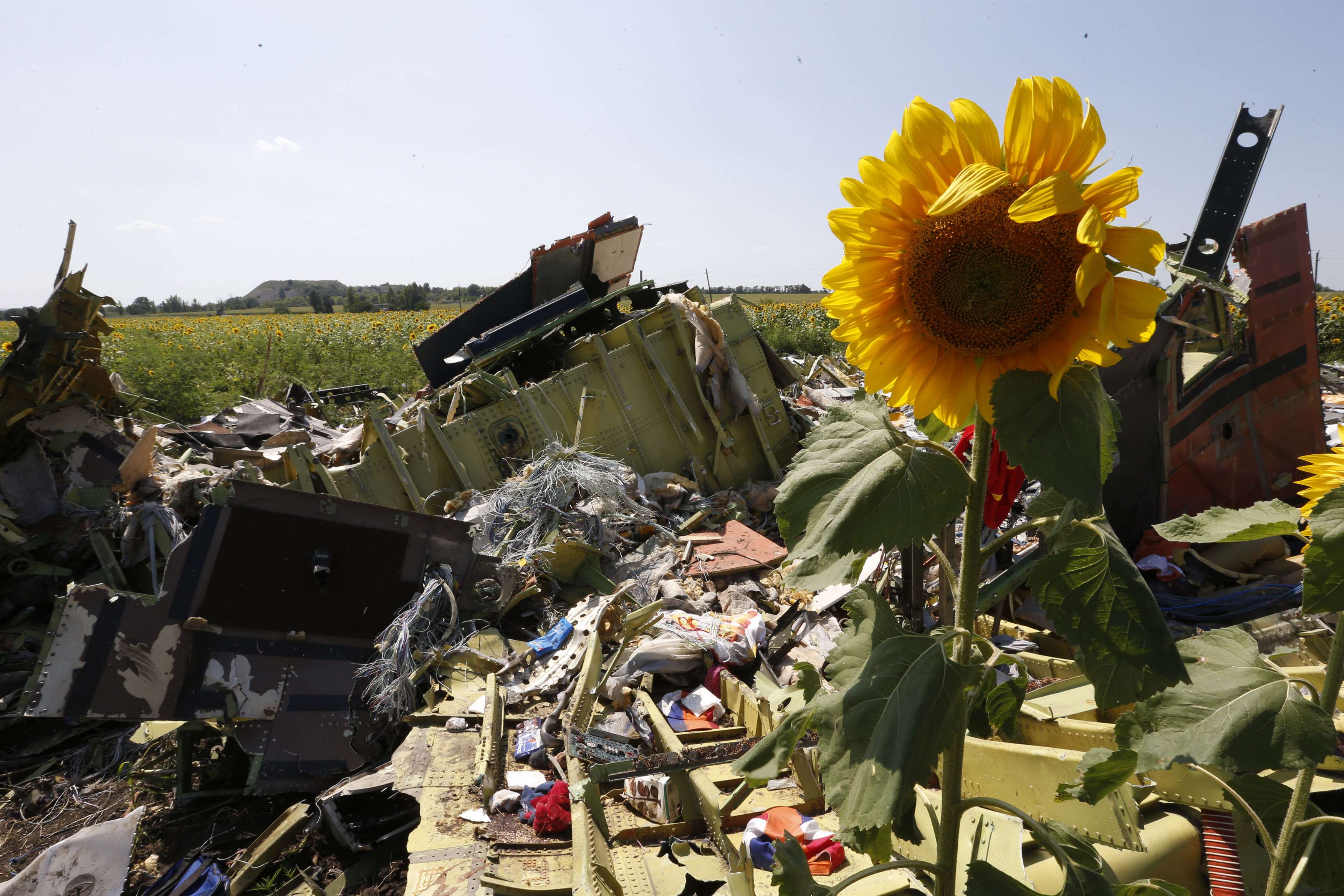 Australia says chance of MH17 site visit not good