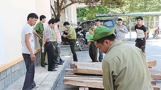 Vietnam police arrest chief forest ranger for taking $4,700 bribe
