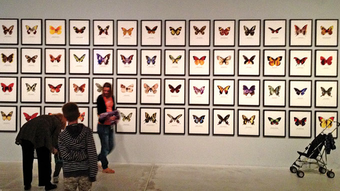 Vietnam’s butterflies adorned with war images displayed at Danish museum