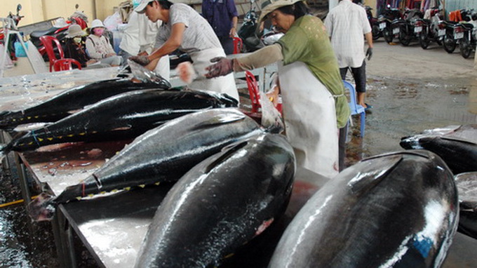 Vietnam exports first catch of tuna landed with Japanese technology to Japan