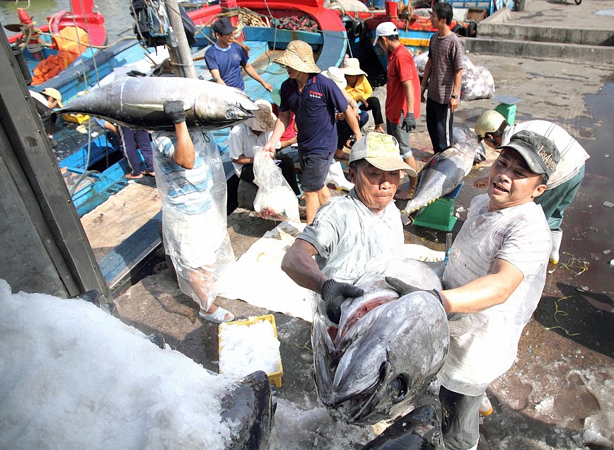 Vietnam’s 1st catch of tuna fished with Japanese technology sells out in Japan