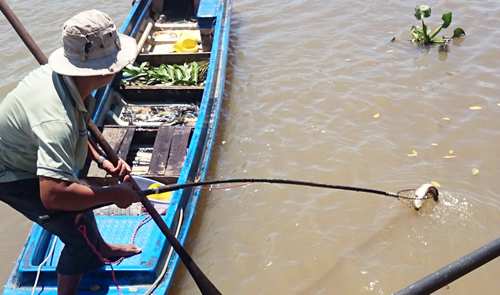 Catching fish, trapping rats by electrocution prevalent in southern Vietnam