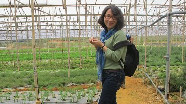 Vietnam woman runs organic veggies business