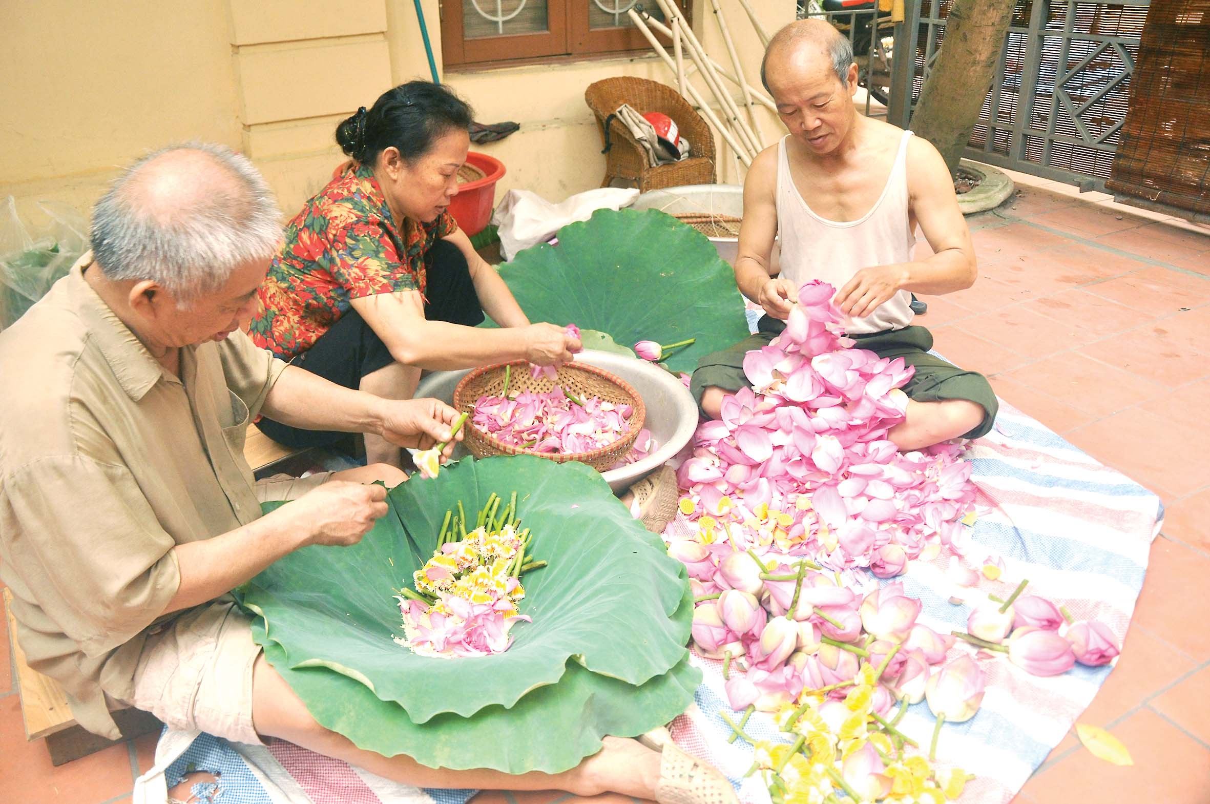 The dying art of embalming tea with lotus scent in Vietnam’s capital