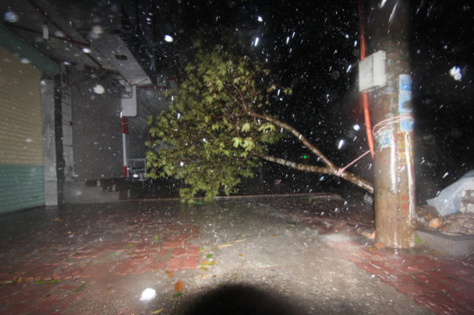 Typhoon Kalmaegi rips through Quang Ninh, ruining over 1,000 hectares of crops