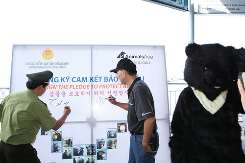 Ha Long Bay officials, tourists campaign against bear bile