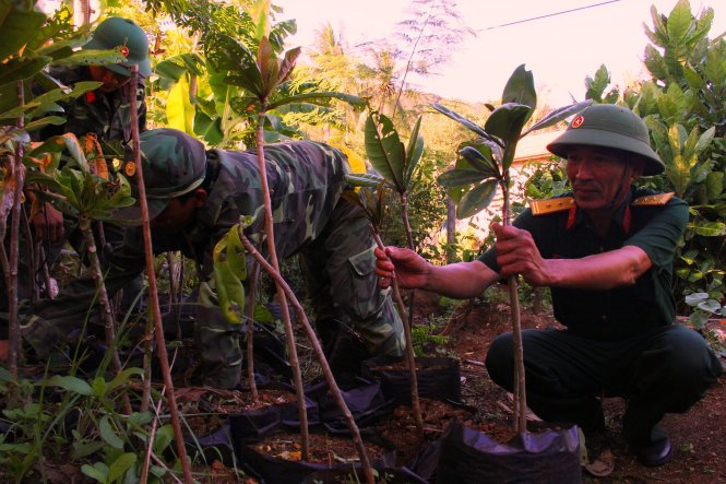 Vietnam Lt Col spends 20 years propagating Hoang Sa’s symbolic trees