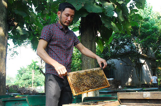 Vietnam man gets rich on beekeeping