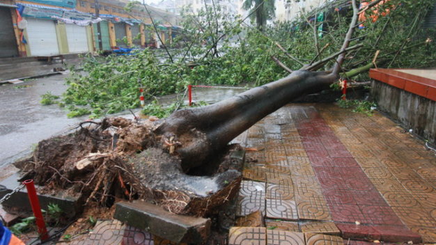 Quang Ninh-Thanh Hoa at highest risk of powerful storms: study