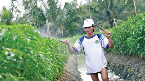 Vietnam’s Mekong Delta farmers spend $291mn on crop protection in H1: GfK