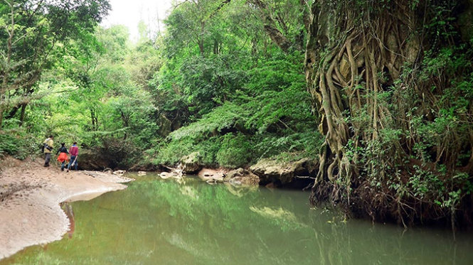 Vietnam’s Phong Nha botanical garden opens to tourists for free