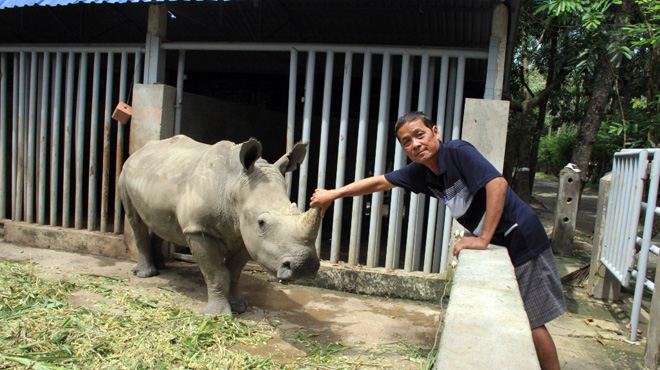 Vietnam demand for rhino horn falls 38% over effective awareness campaign: polls