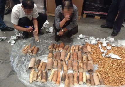 Stopping the smuggling of elephant tusks at HCMC’s airport